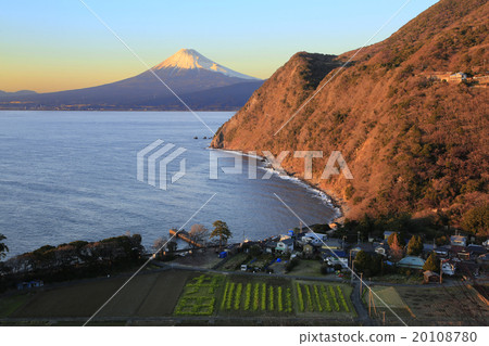 Mount Fuji  20108780