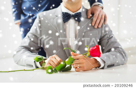 close up of male gay couple with wedding rings on close up of male gay couple with wedding rings on 20109246