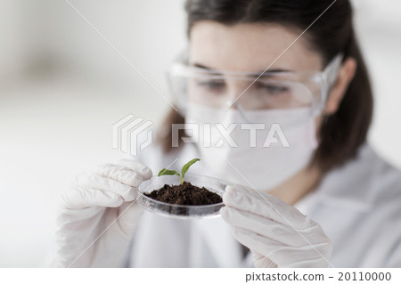 close up of scientist with plant and soil in lab 20110000