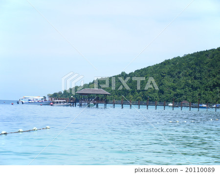 The sea of Borneo 20110089