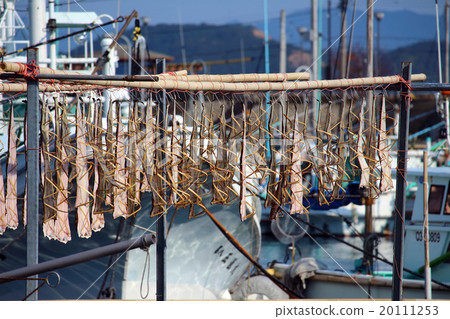 出版材料 20111253