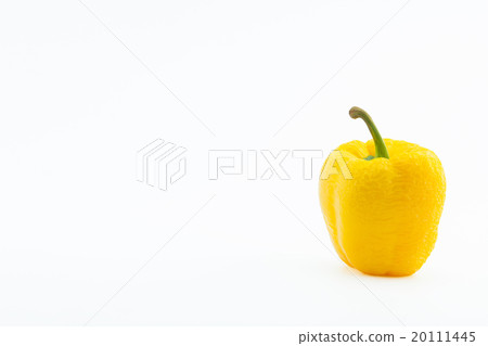 Wither yellow pepper, isolated on white. Wither yellow pepper, isolated on white. 20111445
