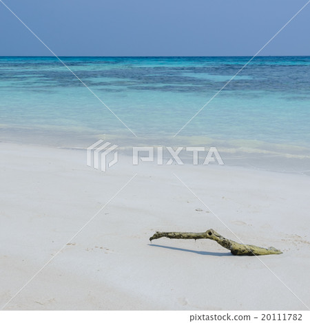 White sand beach and crystal clear water White sand beach and crystal clear water 20111782