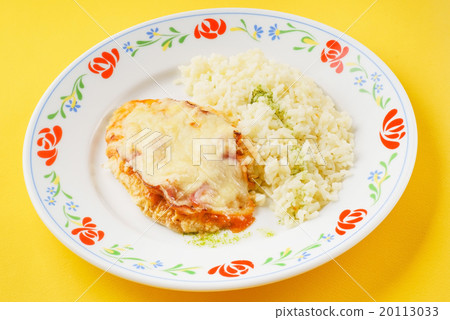 rice with cutlet 20113033