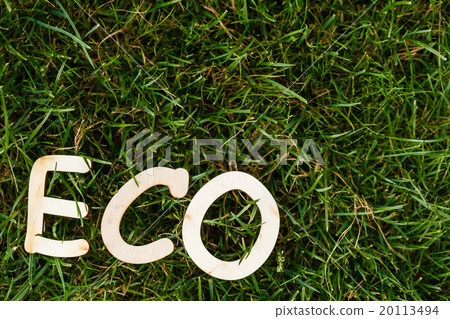 eco background eco background 20113494