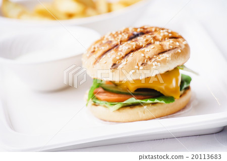 cheeseburger with potato cheeseburger with potato 20113683