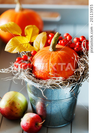 autumn decoration 20113955