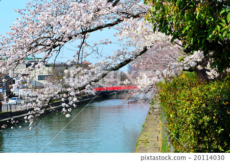 京都岡崎春天風景 京都岡崎春天風景 20114030