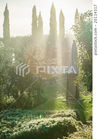 fields in the valley at sunset, Tuscany 20114317