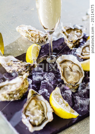 Opened Oysters 20114375