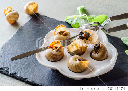 snails as gourmet food snails as gourmet food 20114474
