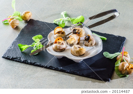 snails as gourmet food 20114487