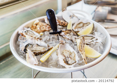 oysters oysters 20114792