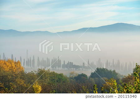 nice Tuscany 20115340