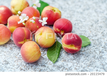 fresh apricots fresh apricots 20115479