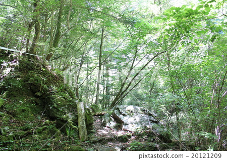 Yasu Valley 20121209