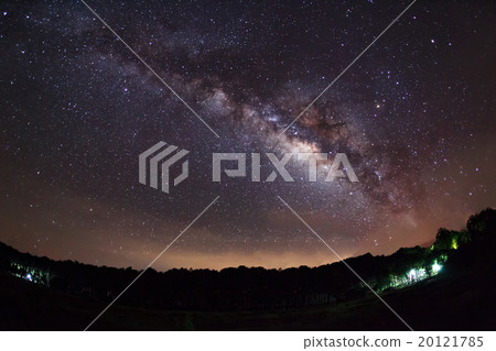 Milky Way and silhouette of tree with cloud 20121785