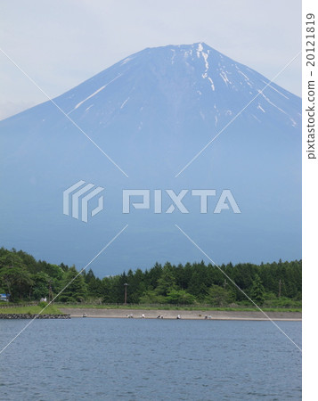 從Tanuki湖看到的富士山 從Tanuki湖看到的富士山 20121819