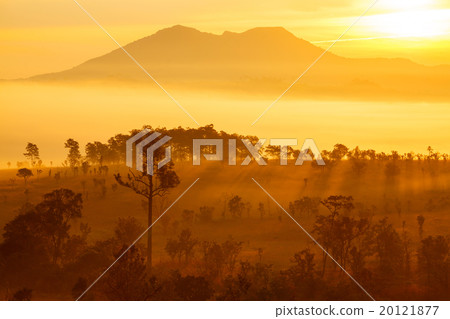 misty morning sunrise in mountain at Thung Salang misty morning sunrise in mountain at Thung Salang 20121877