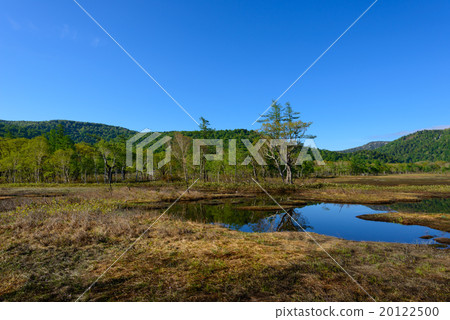 Ozegahara在初夏 20122500