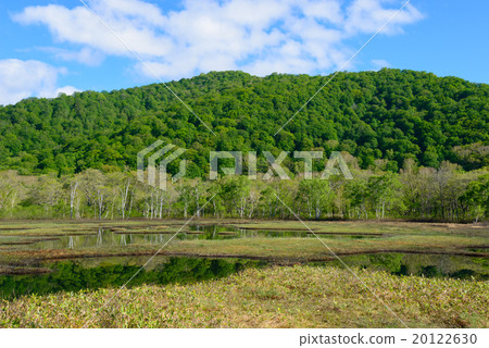 Ozegahara in early summer Ozegahara in early summer 20122630