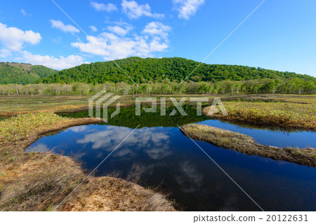 Ozegahara in early summer 20122631