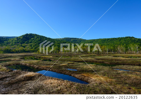 Ozegahara in early summer 20122635