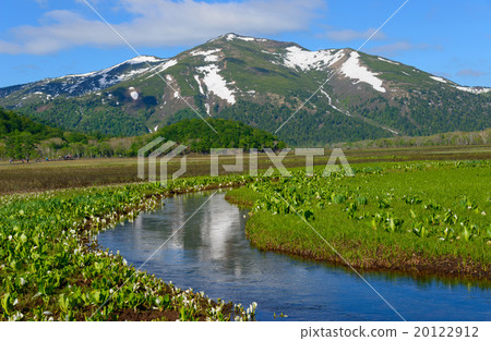 初夏的Ozegahara和佛山 20122912
