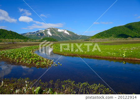 初夏的Ozegahara和佛山 20122914