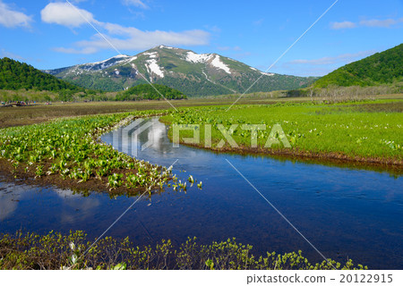 初夏的Ozegahara和佛山 20122915