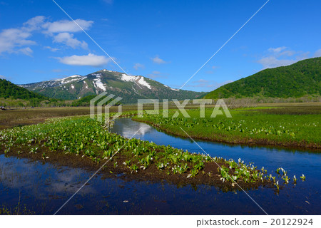 初夏的Ozegahara和佛山 20122924
