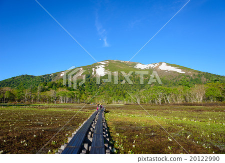 初夏的Ozegahara和佛山 20122990