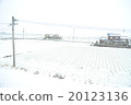 Snow scene 20123136