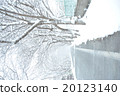 Snow road 20123140