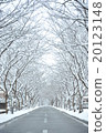 Snow road 20123148