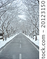 Snow road 20123150