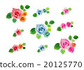 Rose rose rose 20125770