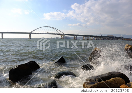 櫻花海岸 20125798