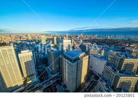 View from Shinjuku 20125801