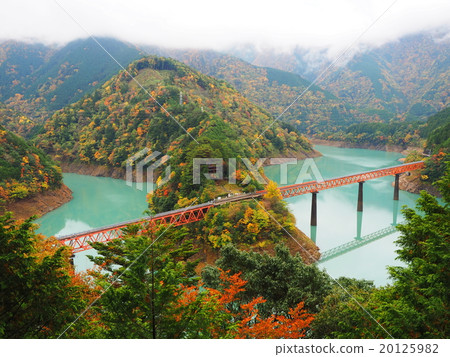 Autumnal leaves Oi Oi lake top station Autumnal leaves Oi Oi lake top station 20125982