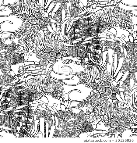 Coral reef pattern 20126926
