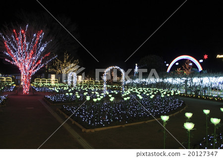 Illuminations of Ashikaga Flower Park 20127347