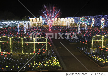 Illuminations of Ashikaga Flower Park 20127352