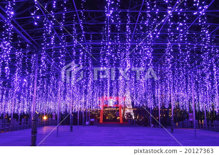 足利花卉公園的Ofuji照明 足利花卉公園的Ofuji照明 20127363