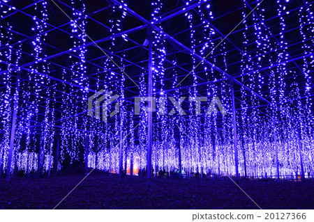 足利花卉公園的Ofuji照明 20127366