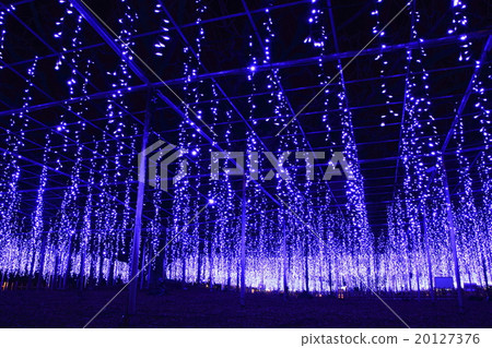 足利花卉公園的Ofuji照明 20127376