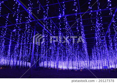 足利花卉公園的Ofuji照明 20127378