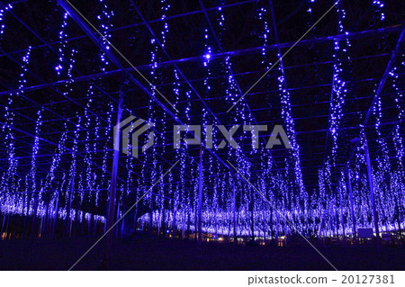 足利花卉公園的Ofuji照明 足利花卉公園的Ofuji照明 20127381