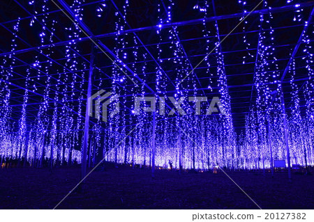 足利花卉公園的Ofuji照明 足利花卉公園的Ofuji照明 20127382