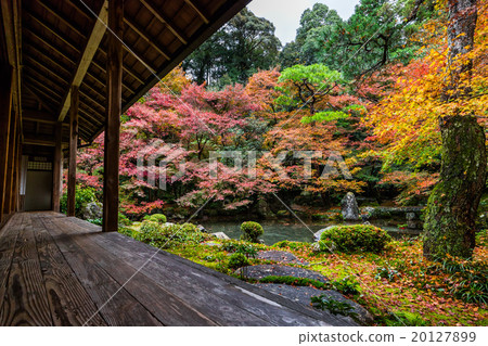 Kyoto Rensha Temple Kyoto Rensha Temple 20127899
